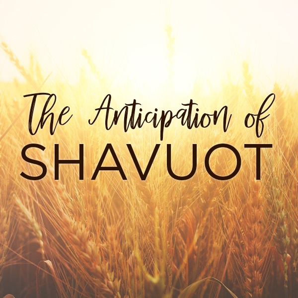 The Anticipation of Shavuot Jewish Voice