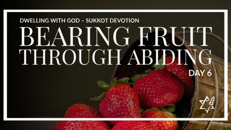 Dwelling with God – Sukkot Devotion, Day 6 | Jewish Voice