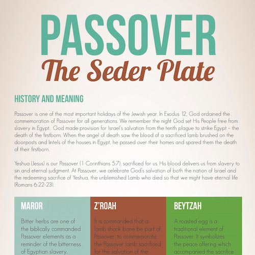 Passover Seder Plate Infographic Jewish Voice 1361