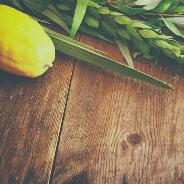 Celebrating God’s Goodness At Sukkot | Jewish Voice