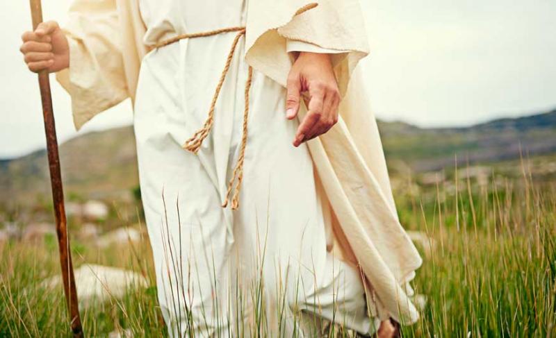 Shepherd walking in a field